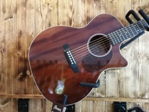 Sigma GMC1E Mahogany, Acoustic Guitar + Preamp, Limited Edition