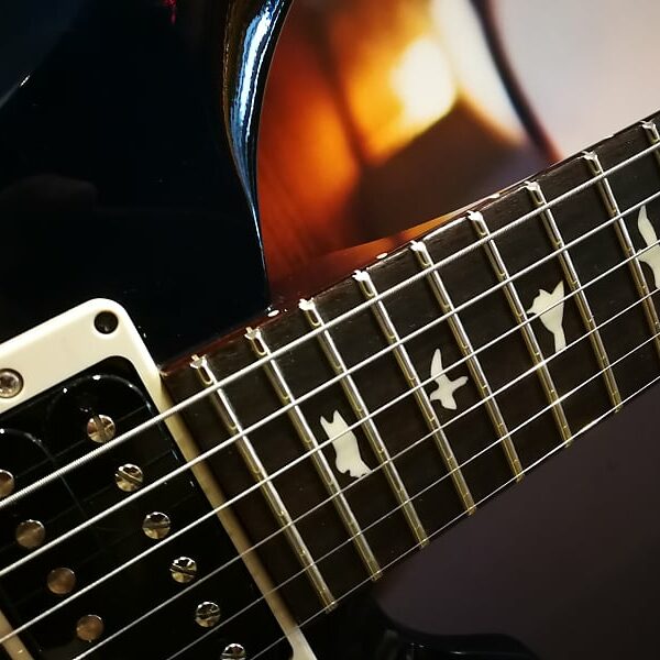 Paul Reed Smith S2 Custom 22 E-Guitar, Whale Blue + GigBag