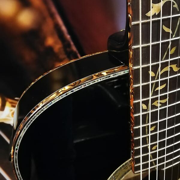 Ibanez EP10-BP Steve Vai Signature Acoustic Guitar 6 String - Black Pearl incl. Hardshellcase