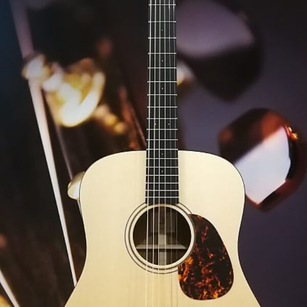 Furch Blue D-SA Acoustic Guitar + LR Baggs Stage Pro Element + Deluxe Bag
