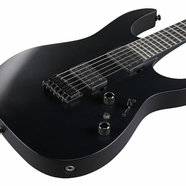 Ibanez RGRTB621-BKF RGRTB Iron Label E-Guitar 6 String - Black Flat