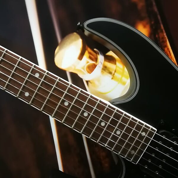 Ibanez RG421EXL-BKF E-Guitar 6 String Lefty - Black Flat