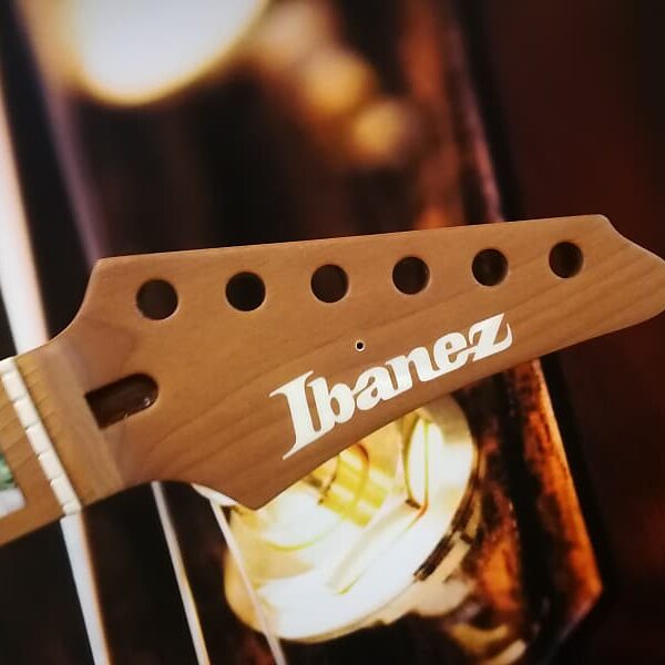 Ibanez Replacement Neck for THBB10 Tim Henson, AZ Premium