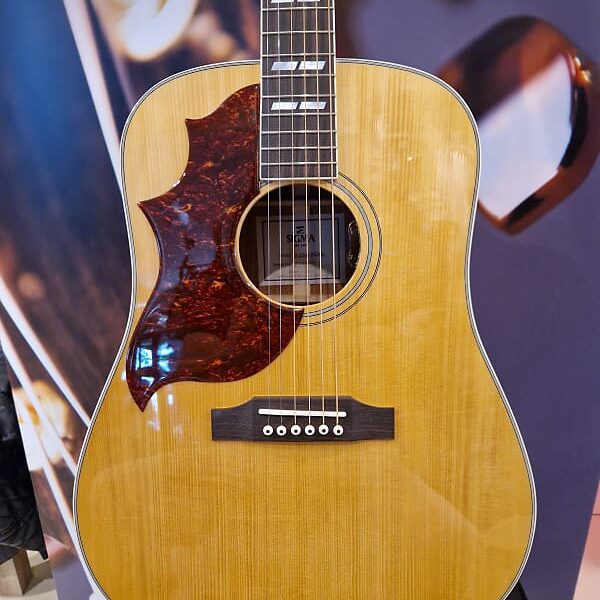 Sigma SDM-SG6L Acoustic Guitar Lefthand + Sigma SoftshellBag