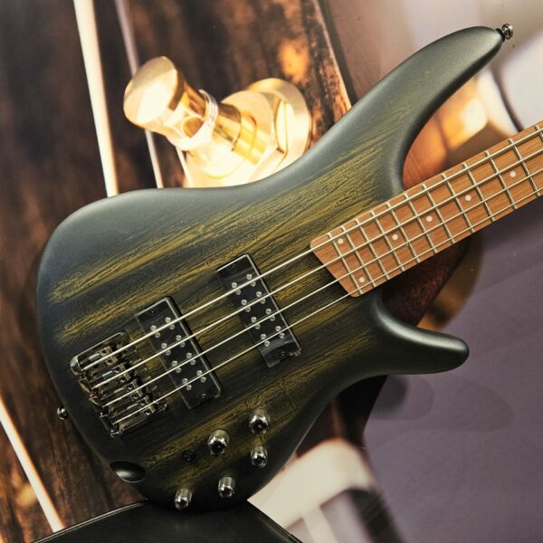 Ibanez SR300E-GVM SR-Serie E-Bass 4 String – Golden Veil Matte