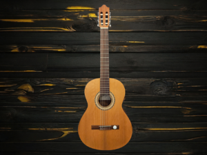 Camps Guitars